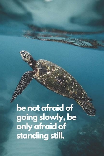 be not afraid of going slowly, be only afraid of standing still.: Notebook Journal Diary, 120 Lined pages, 6 x 9 -- Inspirational Turtle One-Of-A-Kind Design