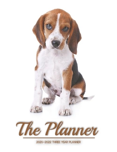 The Planner 2020-2022 three year planner: Personal Planners Daily Weekly And Monthly Calendar Schedule agenda Organizer and Journal pocket list Notebook (Month Start from January 2020 throug