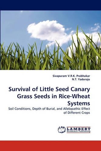 Survival of Little Seed Canary Grass Seeds in Rice-Wheat Systems