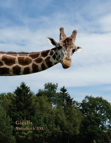Giraffe - Notizbuch XXL: Format Letter (ca. A4), karriert und liniert in einem, 100 Seiten