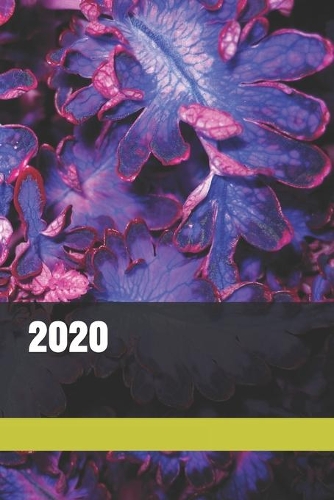2020