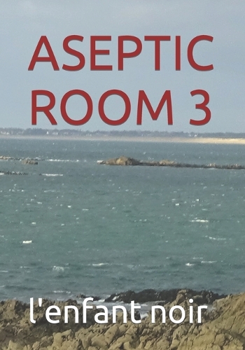 Aseptic Room 3: (Book English for All Audiences)