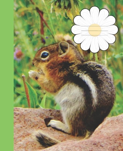 Cute Girly Rocky Mountain Ground Squirrel Chipmunk Wide-ruled School Composition Lined Notebook: (1 Western Wildlife Animal Covers: Fun School Supplies & Stuff)