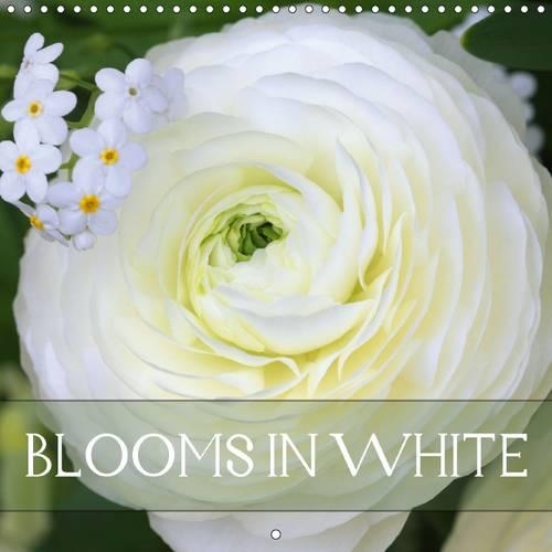 Blooms in White 2016: Charming white blossoms(Calvendo Nature)
