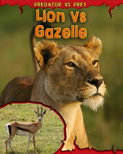 Lion vs Gazelle: (Predator vs. Prey)