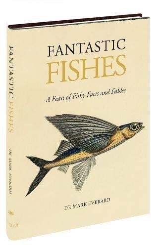 Fantastic Fishes