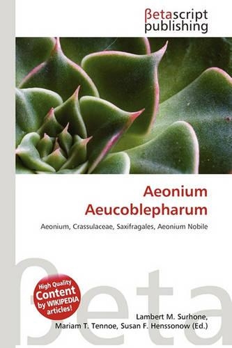 Aeonium Aeucoblepharum