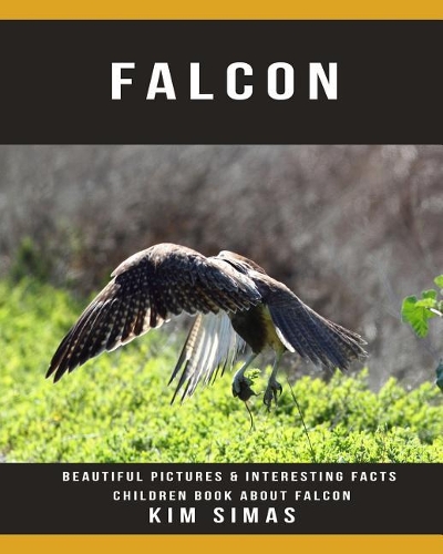 Falcon: Beautiful Pictures & Interesting Facts Children Book about Falcon