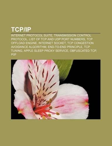TCP-IP: Internet Protocol Suite, Transmission Control Protocol, List of TCP and Udp Port Numbers, TCP Offload Engine, Internet Socket