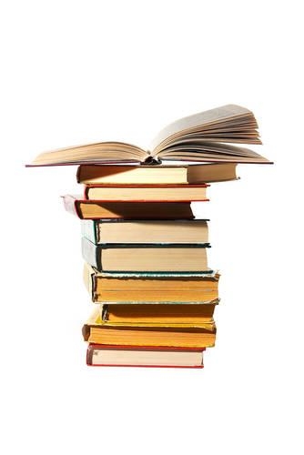 The Matrimonial Lawyer: A Survival Guide