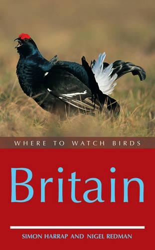 Where to Watch Birds in Britain
