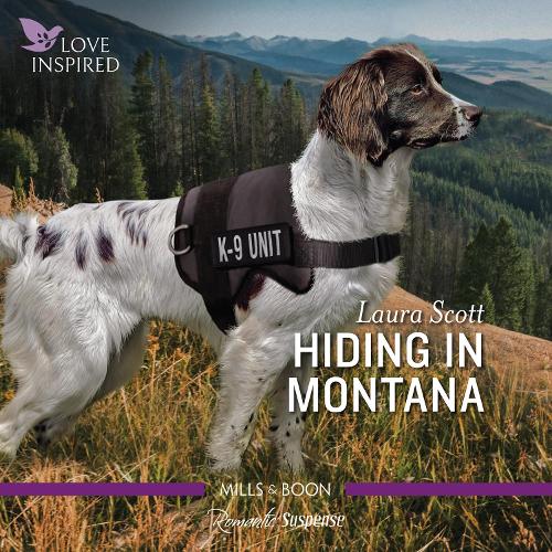 Hiding in Montana