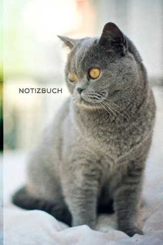 Notizbuch: Hübsche Graue Katze - 108 College Lined Seiten: 15x23 cm Blank Lined Journal mit weichen Matt Einband - Notizbuch, Tagebuch, Kompositionsbuch für Ju
