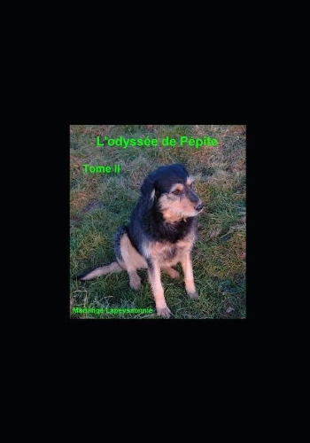 L'Odyssée de Pépite Tome II