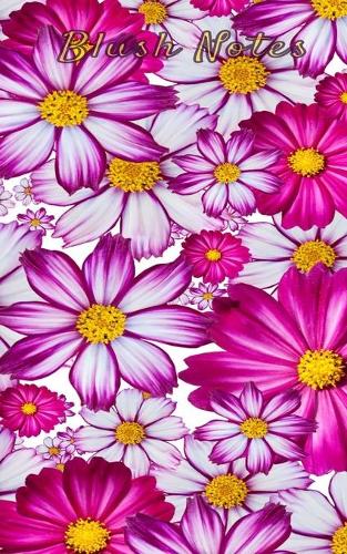 Blush Notes: Journal to Write in for Women and Girls, (Notebook, Diary for Girls) 5x8, 150pages Pocket journal to write in ( Ideal Valentine's Gift for Women and