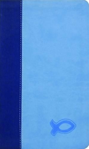 KJV Study Bible for Boys