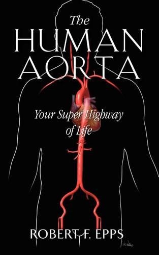 The Human Aorta
