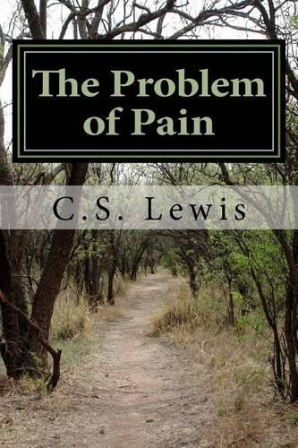 The Problem of Pain