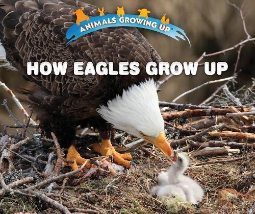 How Eagles Grow Up: (Animals Growing Up)