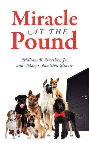 Miracle at the Pound