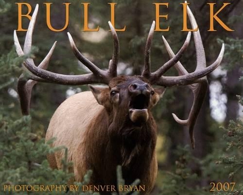 Bull Elk 2007 Calendar