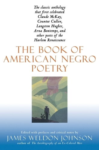 Book of American Negro Poetry