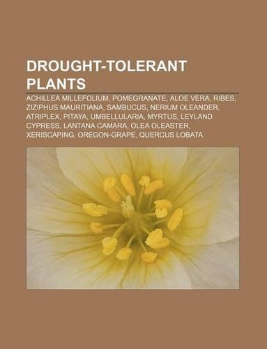 Drought-Tolerant Plants: Achillea Millefolium, Pomegranate, Aloe Vera, Ribes, Ziziphus Mauritiana, Sambucus, Nerium Oleander, Atriplex, Pitaya