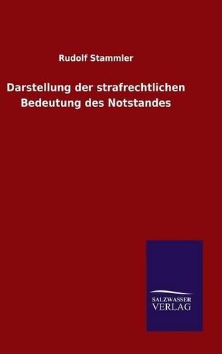 Darstellung der strafrechtlichen Bedeutung des Notstandes