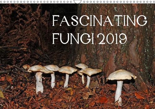 FASCINATING FUNGI 2019 2019