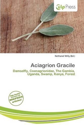 Aciagrion Gracile