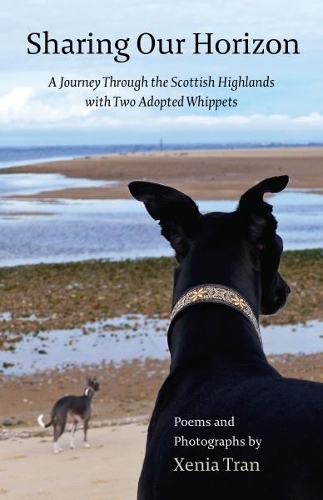 Sharing Our Horizon: A Journey Through the Scottish Highlands with Two Adopted Whippets