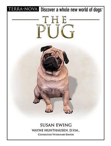 The Pug: (Terra-Nova)