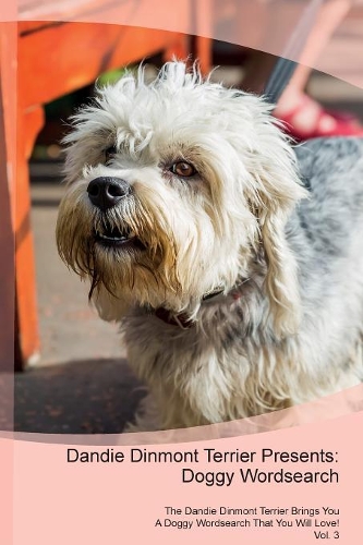 Dandie Dinmont Terrier Presents