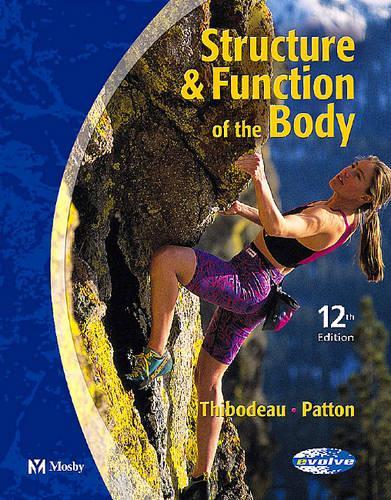 Structure & Function of the Body
