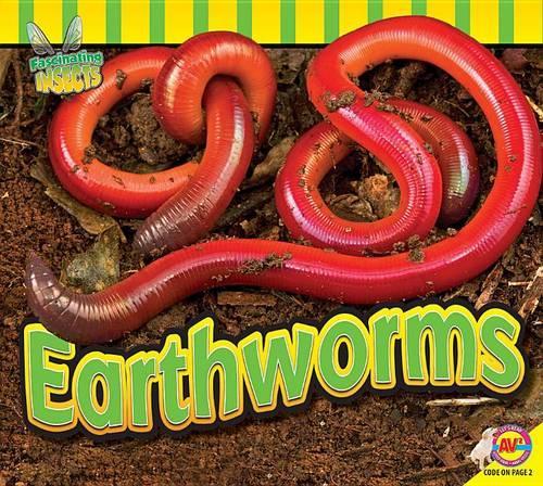 Earthworms: (Fascinating Insects)