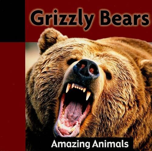Grizzly Bears