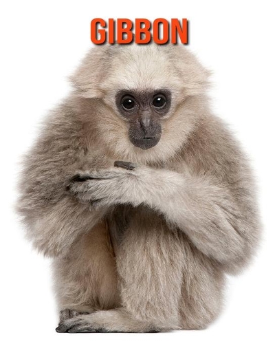 Gibbon: Amazing Facts about Gibbon