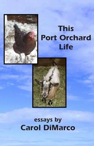 This Port Orchard Life