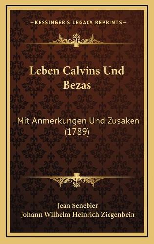 Leben Calvins Und Bezas