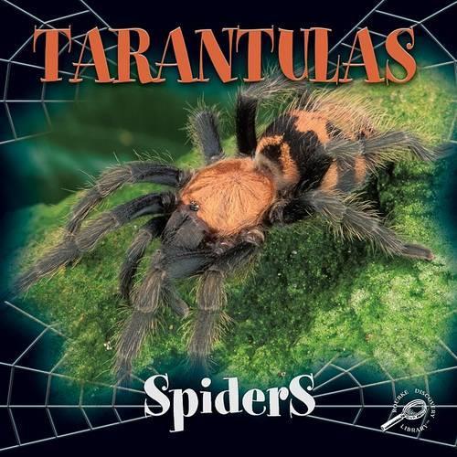 Tarantulas: (Spiders Discovery Library)