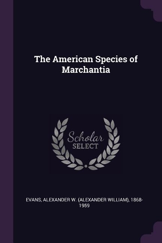 The American Species of Marchantia