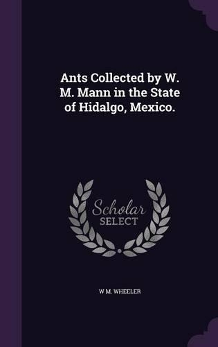 Ants Collected by W. M. Mann in the State of Hidalgo, Mexico.
