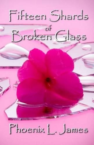 Fifteen Shards of Broken Glass