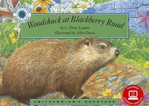 Woodchuck at Blackberry Road