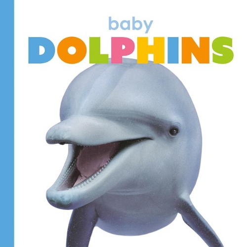 Baby Dolphins: (Starting Out)