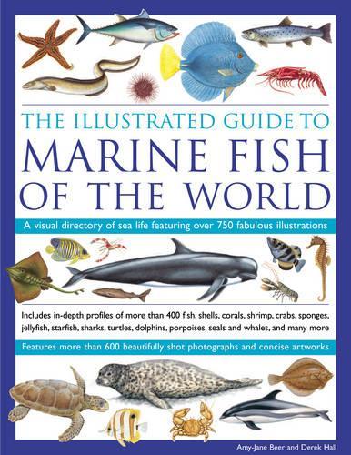 Illustrated Guide to Marine Fish of the World: A Visual Directory of Sea Life