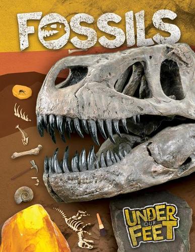 Fossils: (Under Our Feet)