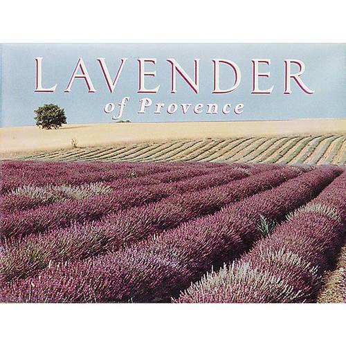 Lavender of Provence Boxed Notecards
