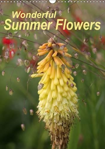 Wonderful Summer Flowers 2017: Endless Summer for 12 Months(Calvendo Nature)