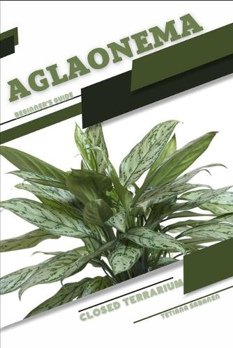 Aglaonema: Closed terrarium, Beginner's Guide